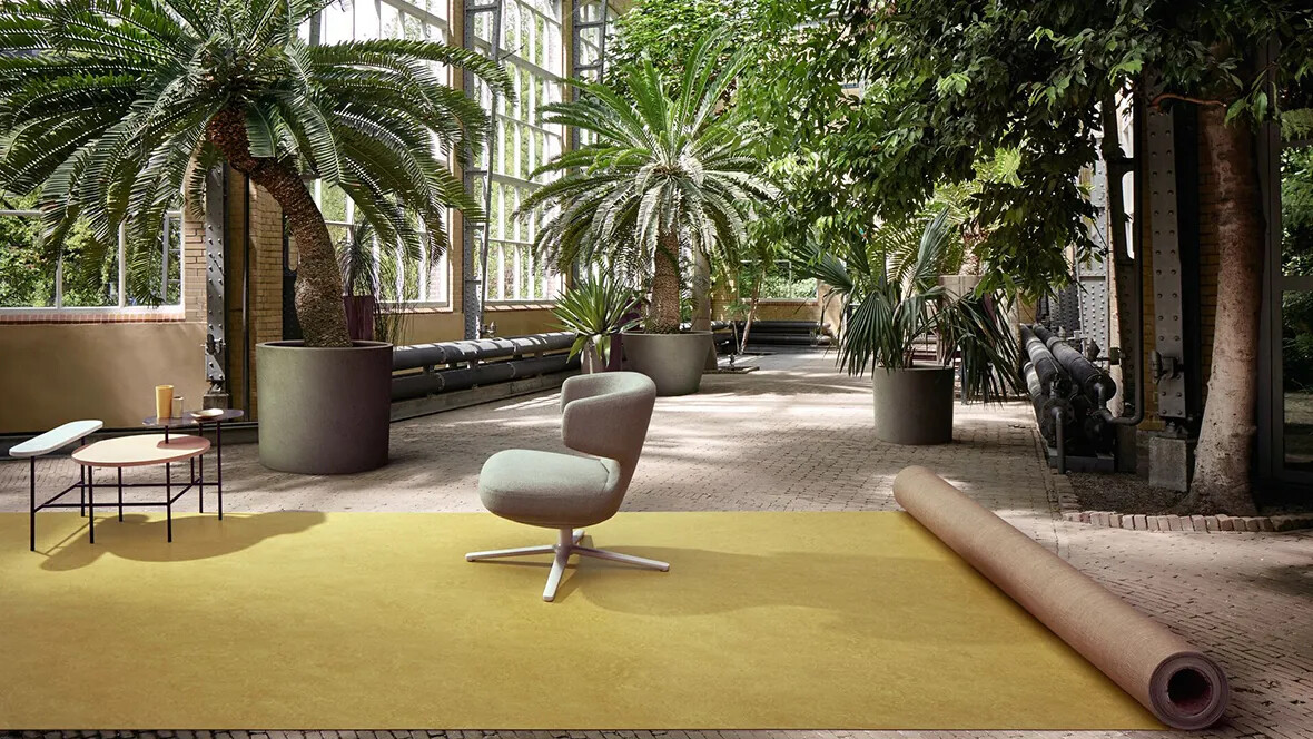 Marbled gul botanisk have Marbled gul botanisk have